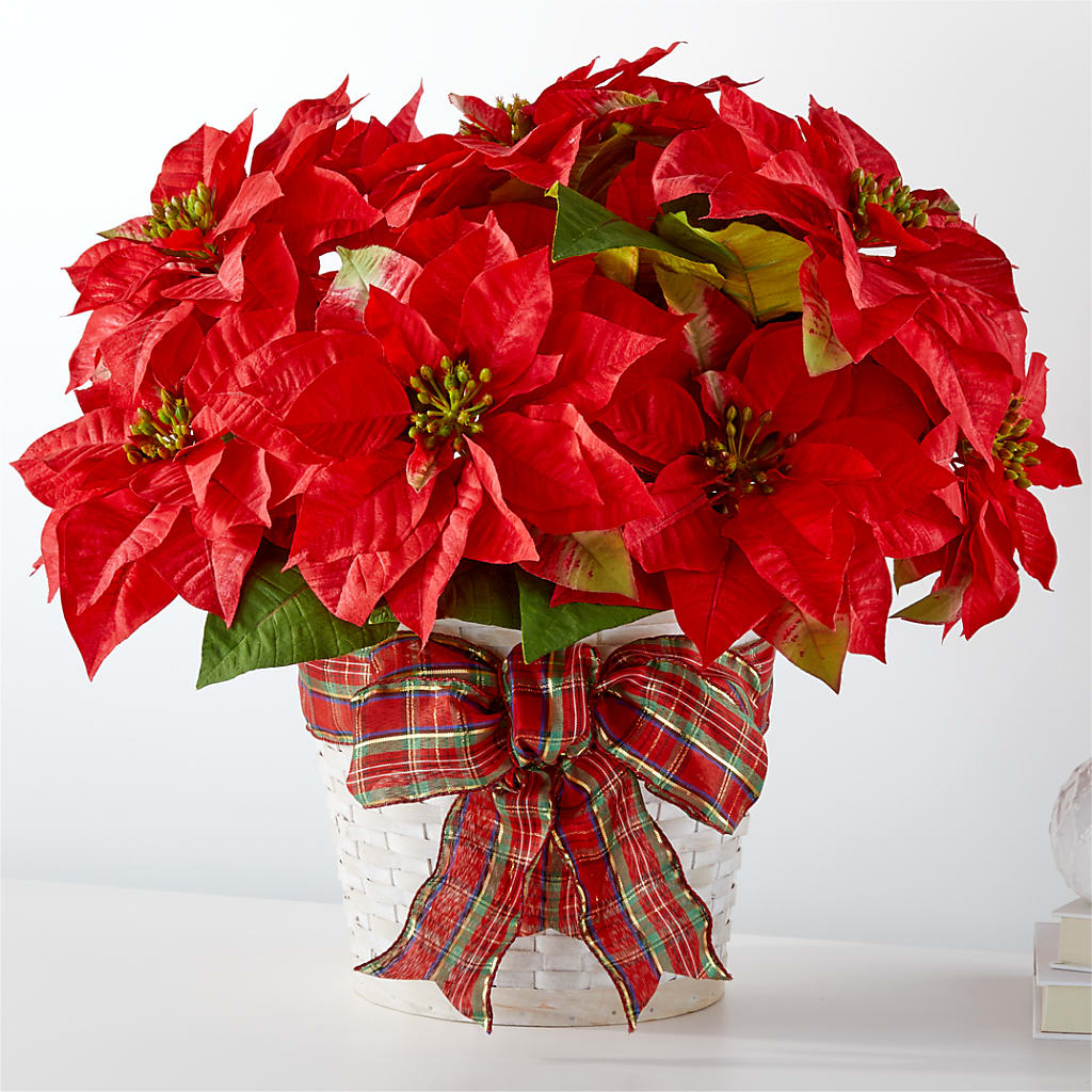 Happiest Holidays Poinsettia – Albertsons Floral #0199, Boise ID