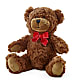Adorable Plush Bear – Albertsons Floral #0199, Boise ID