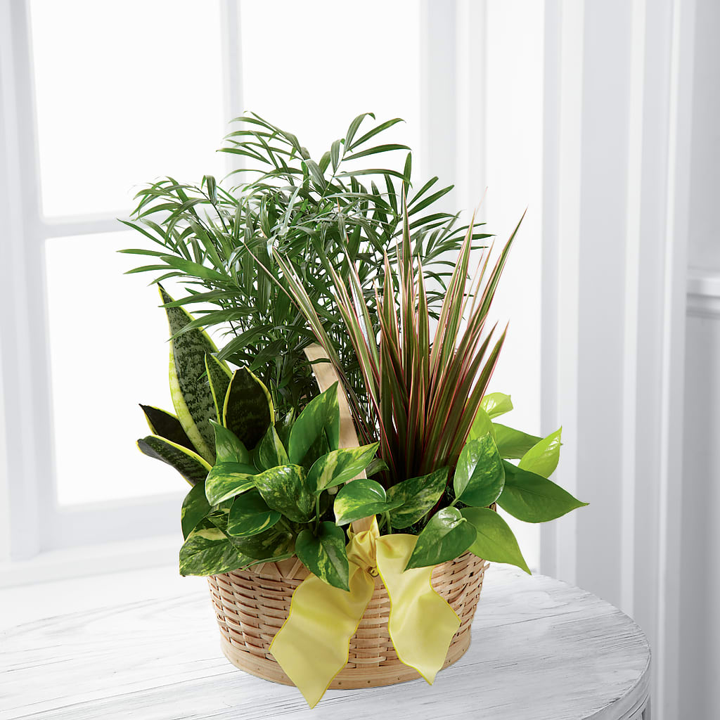 French Garden – Albertsons Floral #0199, Boise ID