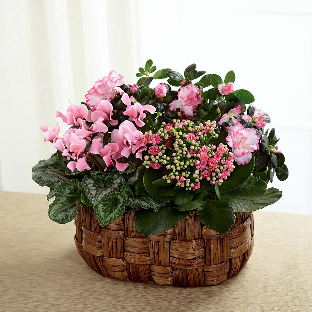 Pink Assortment – Albertsons Floral #0199, Boise ID