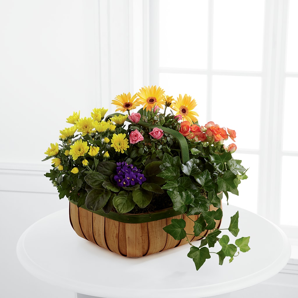 Gentle Blossoms Basket – Albertsons Floral #0199, Boise ID