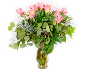 Pink Dozen Roses