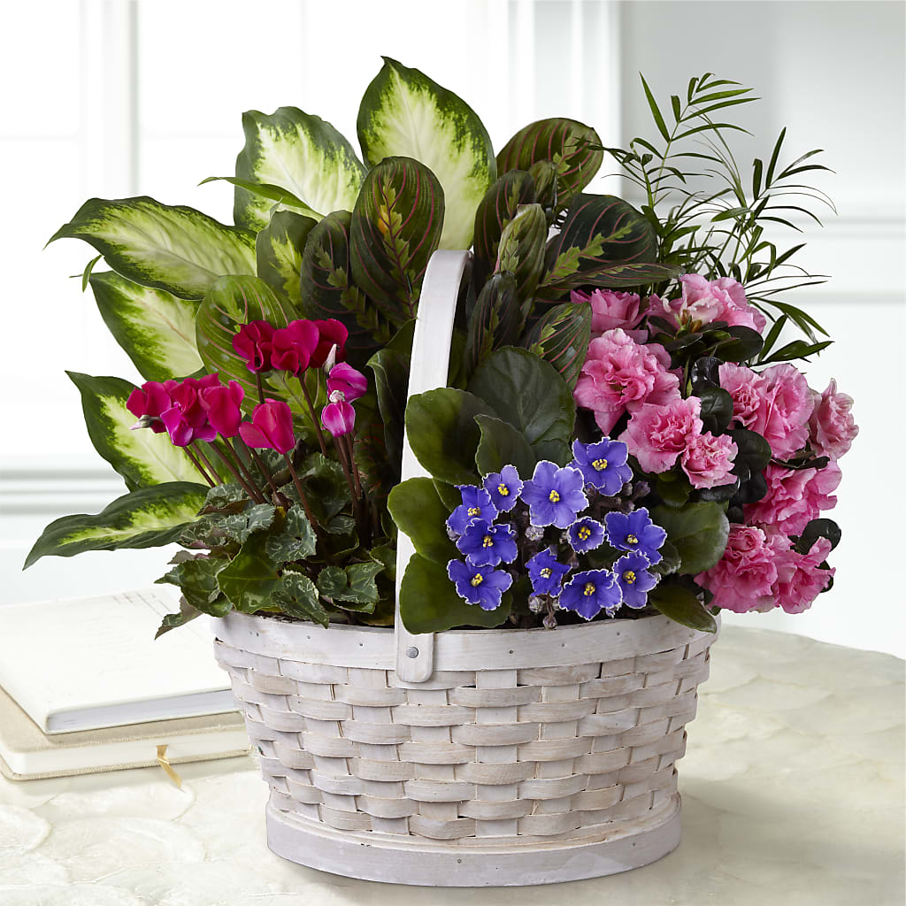 Peaceful Garden Planter – Albertsons Floral #0199, Boise ID