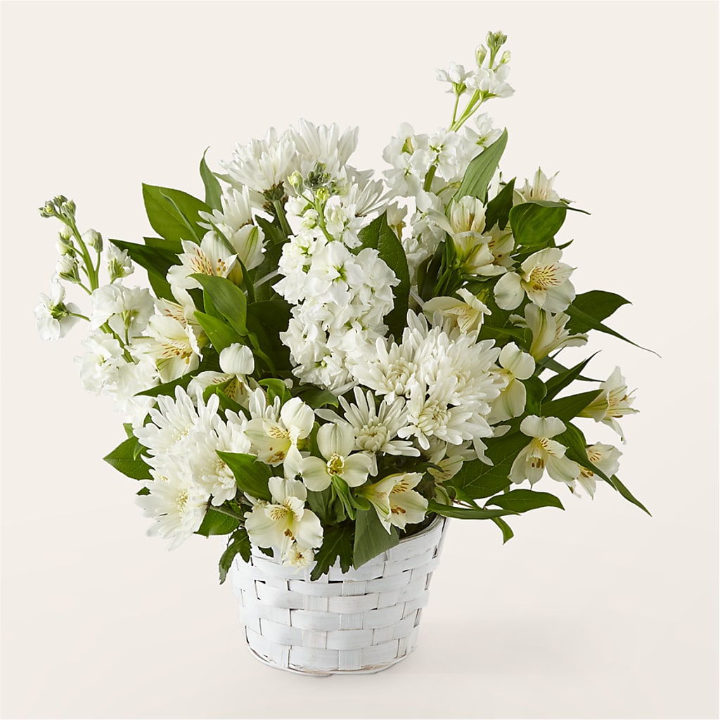 Eternal Affection Arrangement – Albertsons Floral #0199, Boise ID