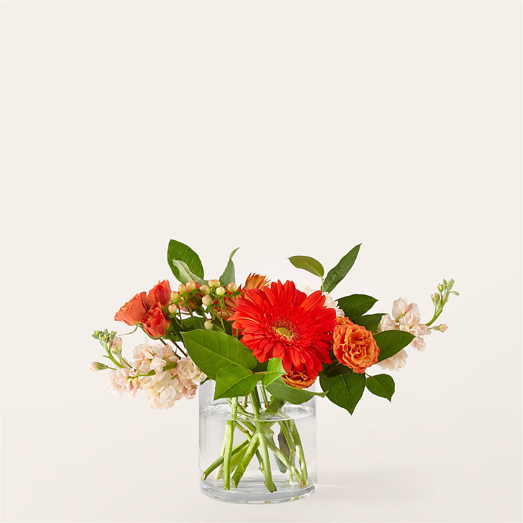 Paloma Please Bouquet – Albertsons Floral #0199, Boise ID