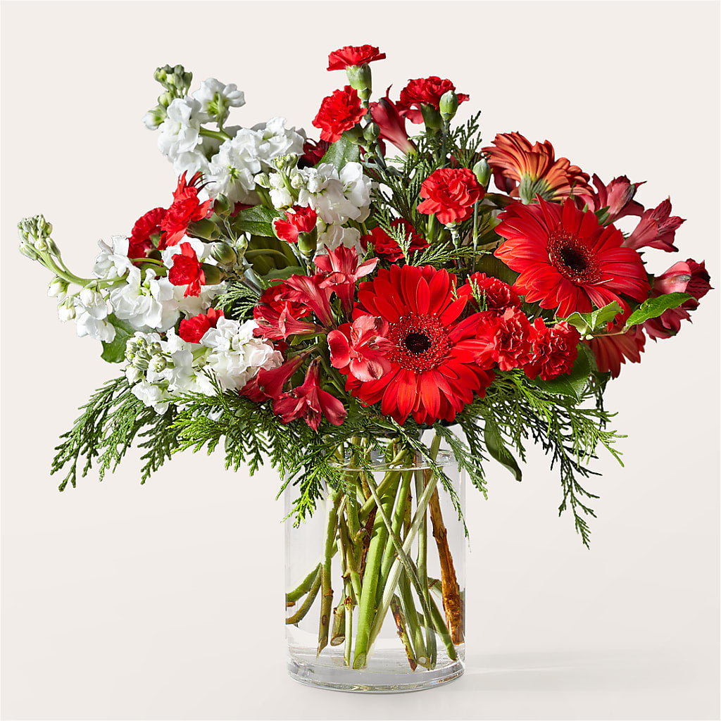 Holidaisy Bouquet – Albertsons Floral #0199, Boise ID
