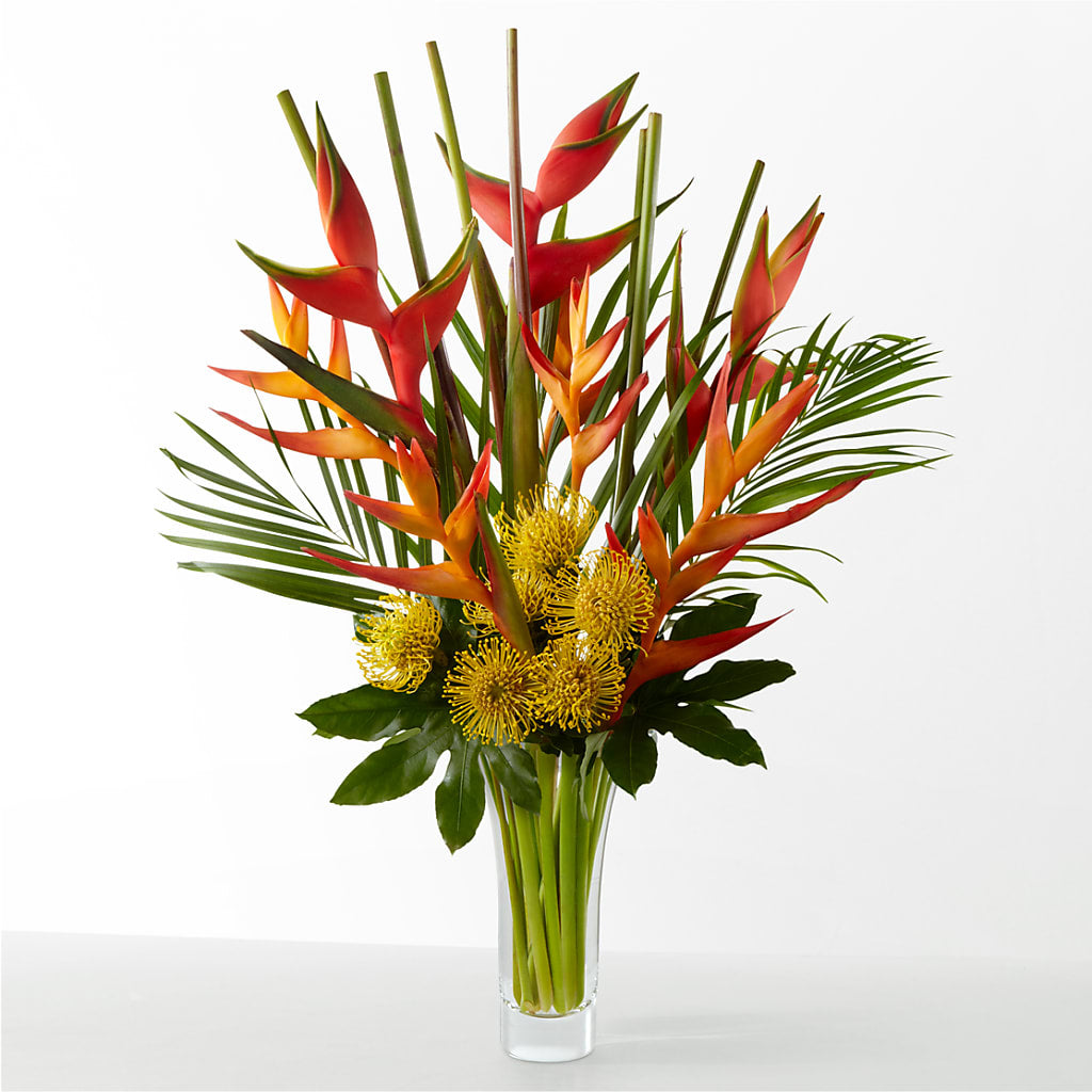 The Drama – Albertsons Floral #0199, Boise ID