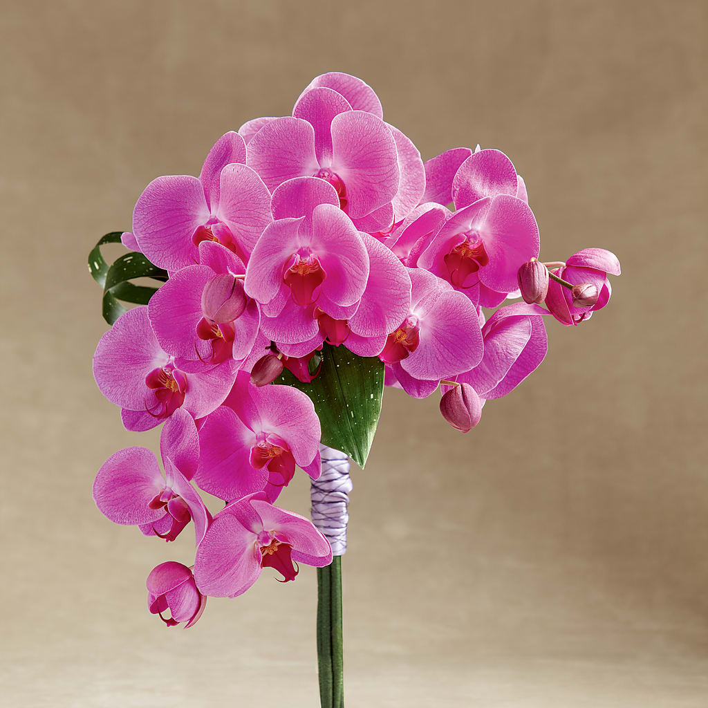 Glorious Bouquet – Albertsons Floral #0199, Boise ID