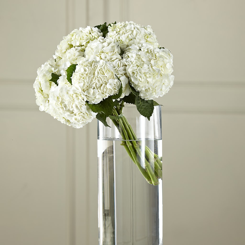 White Hydrangea Hand-Tied Bouquet – Albertsons Floral #0199, Boise ID