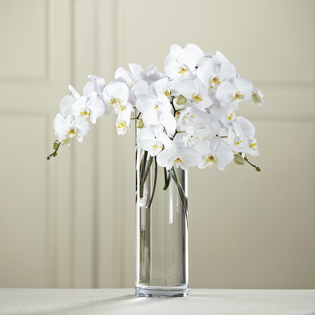 White Phalaenopsis Bouquet – Albertsons Floral #0199, Boise ID