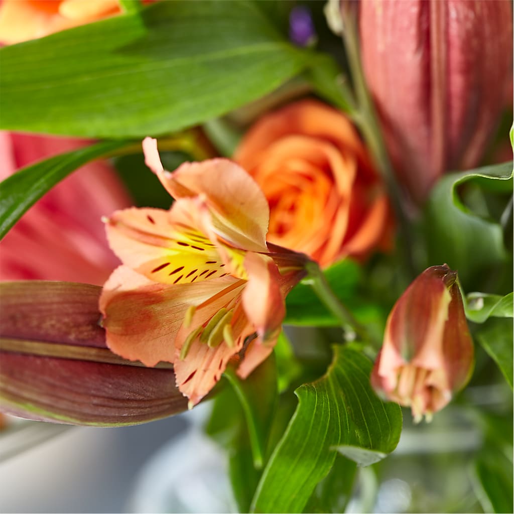 Bold & Bright – A Florist Original –  Albertsons Floral #0199, Boise ID