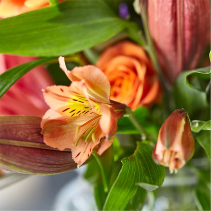 Bold & Bright – A Florist Original –  Albertsons Floral #0199, Boise ID