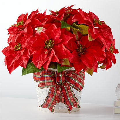 Happiest Holidays Poinsettia –  Albertsons Floral #0199, Boise ID