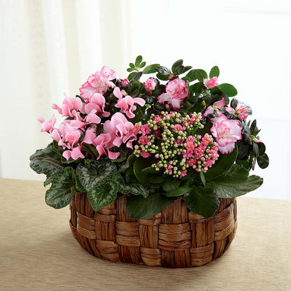 Pink Assortment –  Albertsons Floral #0199, Boise ID