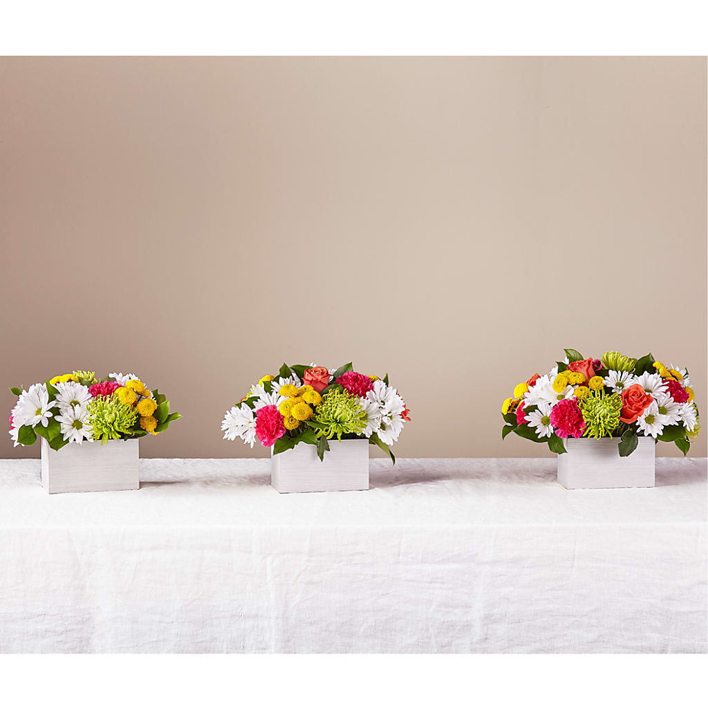 Sorbet Bouquet –  Albertsons Floral #0199, Boise ID