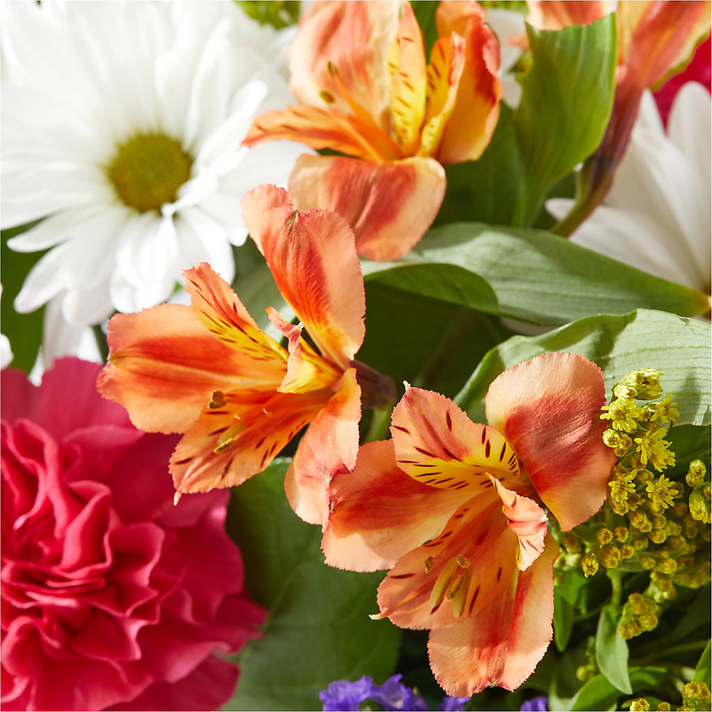 Oopsie Daisy Box Bouquet –  Albertsons Floral #0199, Boise ID