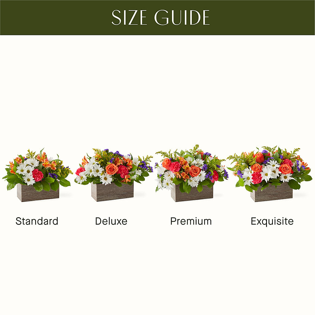 Oopsie Daisy Box Bouquet –  Albertsons Floral #0199, Boise ID