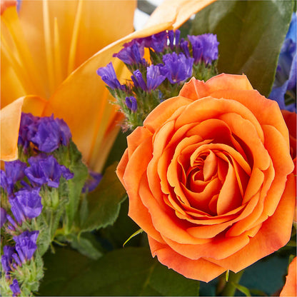 Radiant Citrus Box Bouquet –  Albertsons Floral #0199, Boise ID