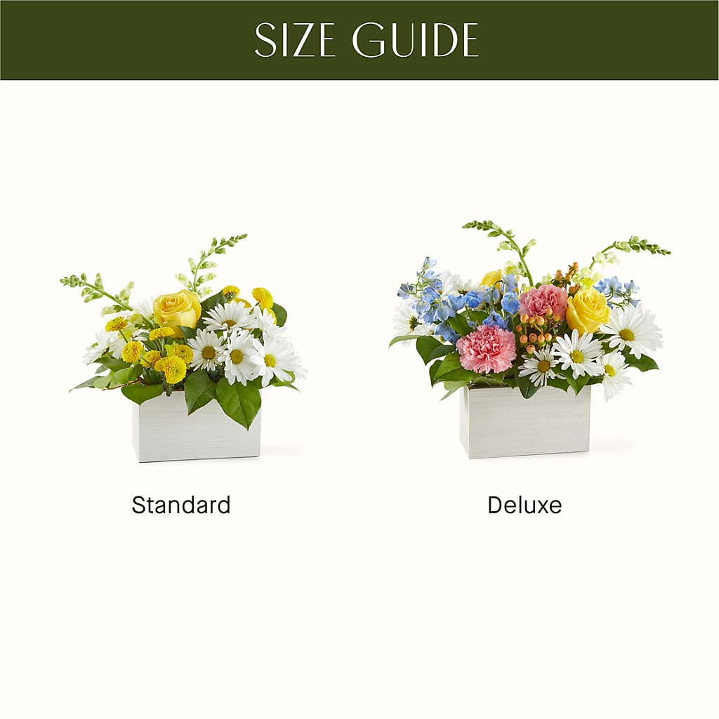 Sun Salutation Box Bouquet –  Albertsons Floral #0199, Boise ID
