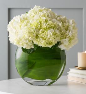 Debi Lilly Allure Hydrangea –  Albertsons Floral #0199, Boise ID