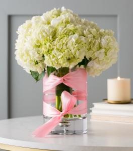 Debi Lilly Illusion Hydrangea –  Albertsons Floral #0199, Boise ID