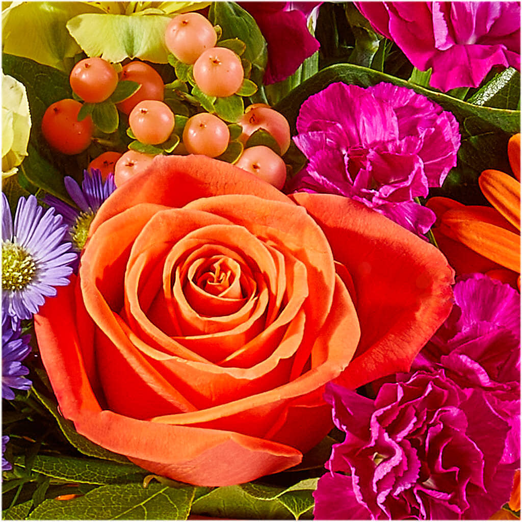 Tricks & Treats Pumpkin –  Albertsons Floral #0199, Boise ID