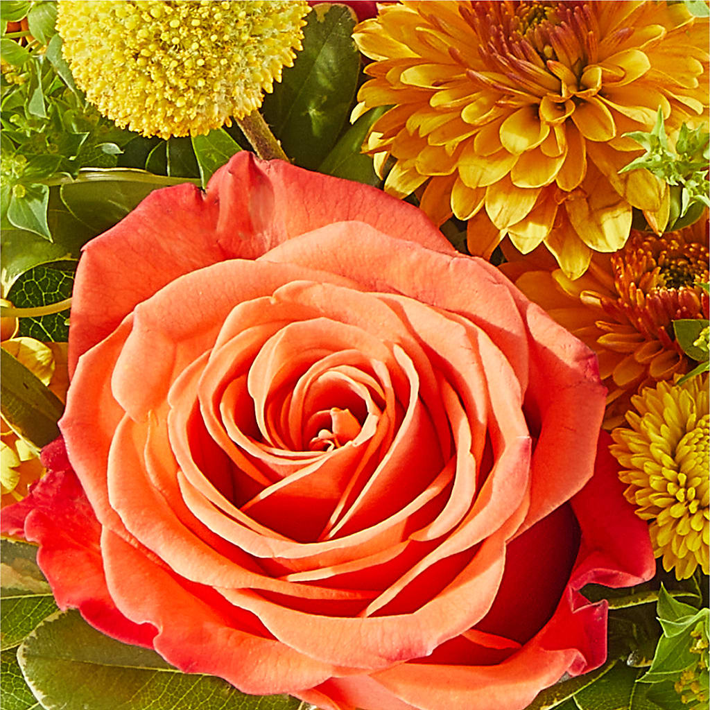 Gourdgeous Pumpkin –  Albertsons Floral #0199, Boise ID