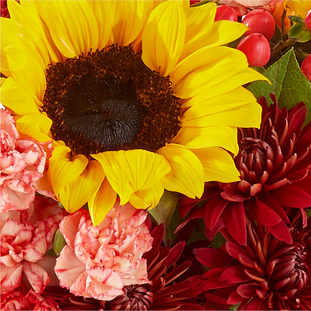 Fresh Cider Bouquet –  Albertsons Floral #0199, Boise ID