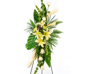 Serene Spray –  Albertsons Floral #0199, Boise ID