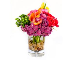 Sherbert Surprise –  Albertsons Floral #0199, Boise ID
