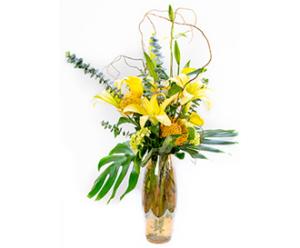 Razzle Dazzle –  Albertsons Floral #0199, Boise ID