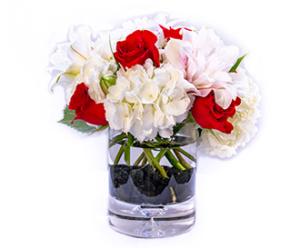 Lover's Lane –  Albertsons Floral #0199, Boise ID