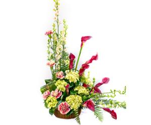Fruits of the Field –  Albertsons Floral #0199, Boise ID