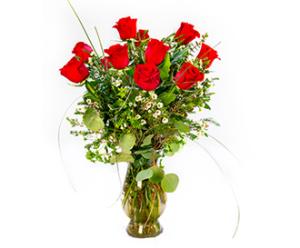 Classic Dozen Red –  Albertsons Floral #0199, Boise ID