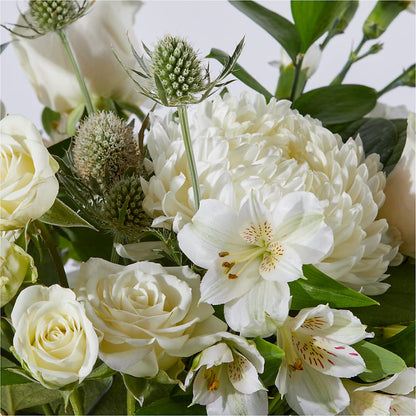 New Beginnings – A Florist Original –  Albertsons Floral #0199, Boise ID