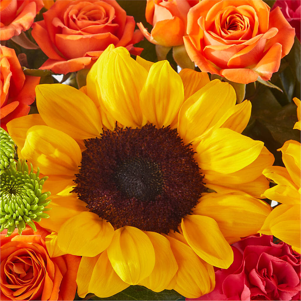 Sun-drenched Blooms Box Bouquet –  Albertsons Floral #0199, Boise ID