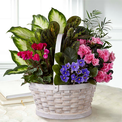 Peaceful Garden Planter –  Albertsons Floral #0199, Boise ID