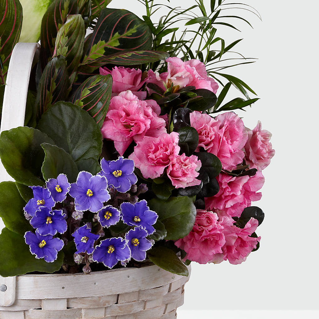 Peaceful Garden Planter –  Albertsons Floral #0199, Boise ID