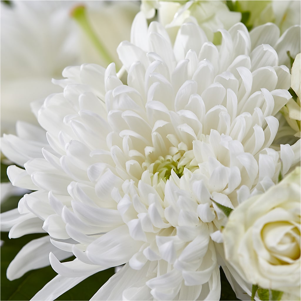 Classic Ivory – A Florist Original –  Albertsons Floral #0199, Boise ID