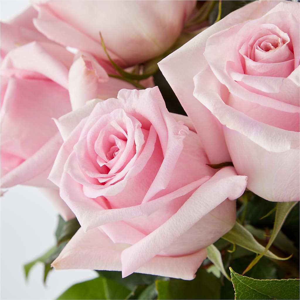 Picture Perfect Pink Rose Bouquet –  Albertsons Floral #0199, Boise ID