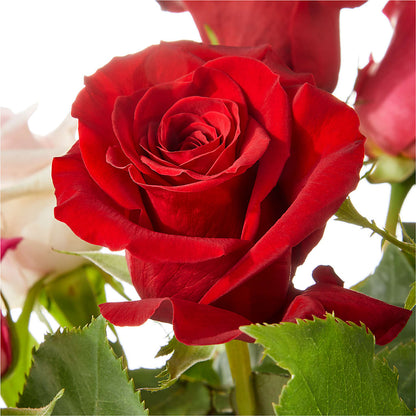 Love Notes Rose Bouquet –  Albertsons Floral #0199, Boise ID
