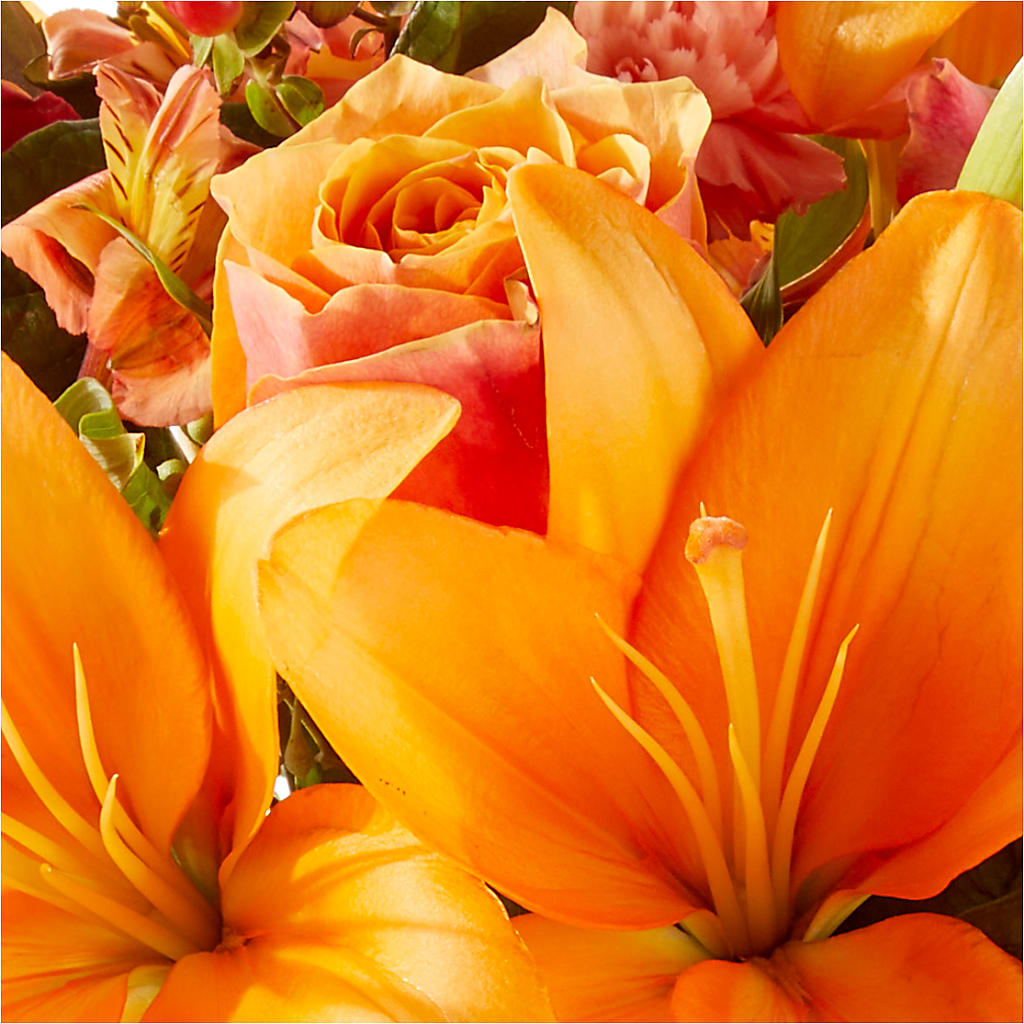 Afternoon Light Bouquet –  Albertsons Floral #0199, Boise ID