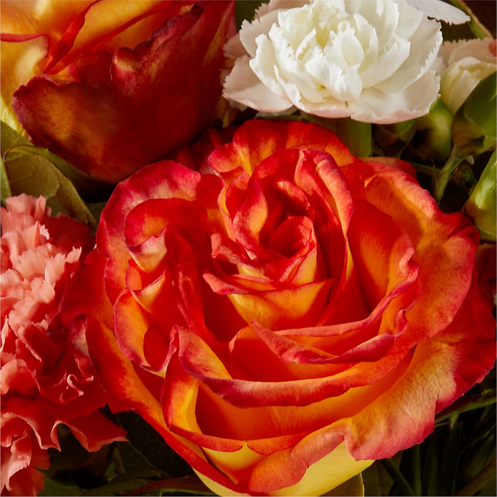 Apricot Glow Bouquet –  Albertsons Floral #0199, Boise ID