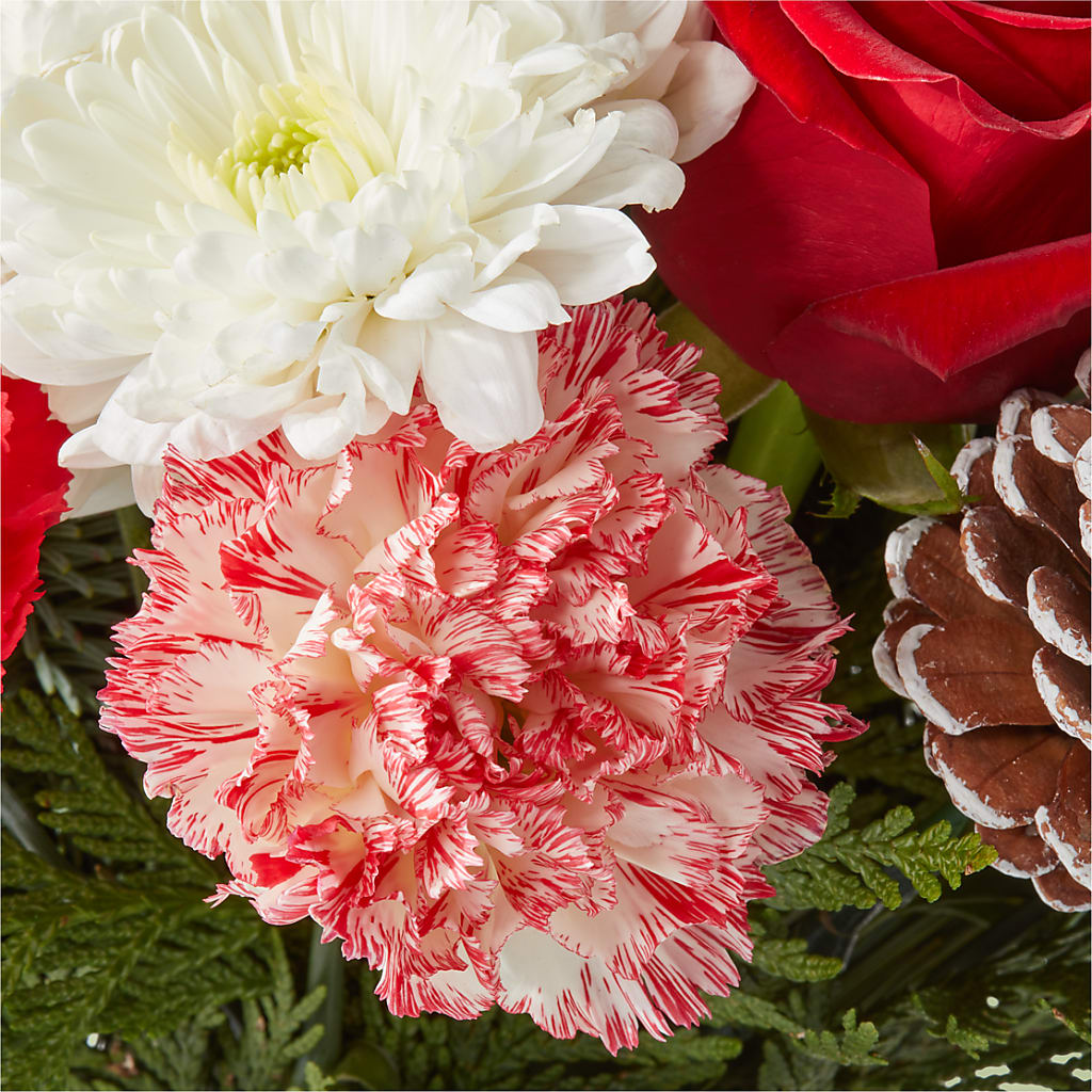 Candy Cane Lane Bouquet –  Albertsons Floral #0199, Boise ID
