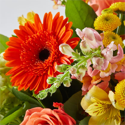 Autumn Sunshine Bouquet –  Albertsons Floral #0199, Boise ID