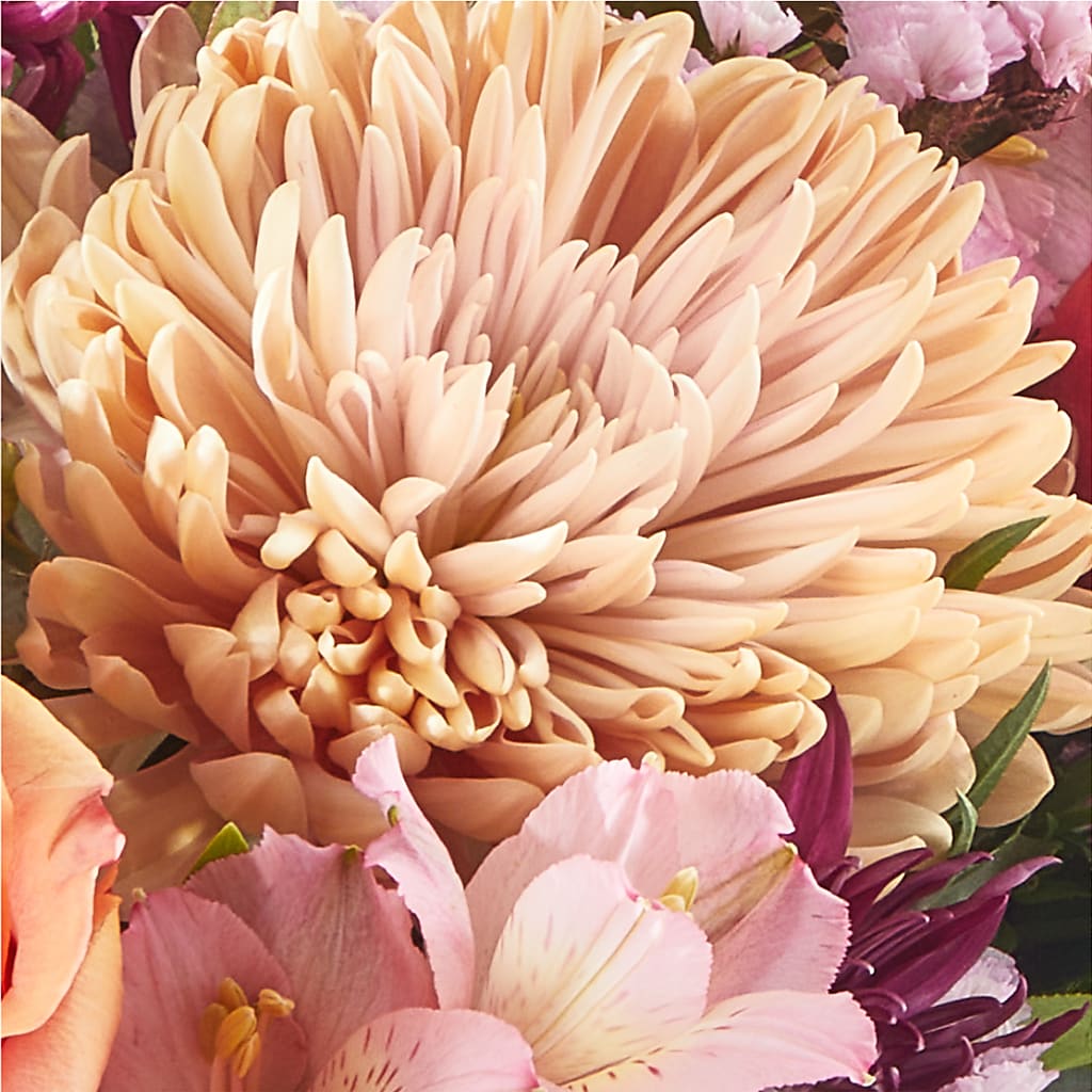Berry Cobbler Bouquet –  Albertsons Floral #0199, Boise ID