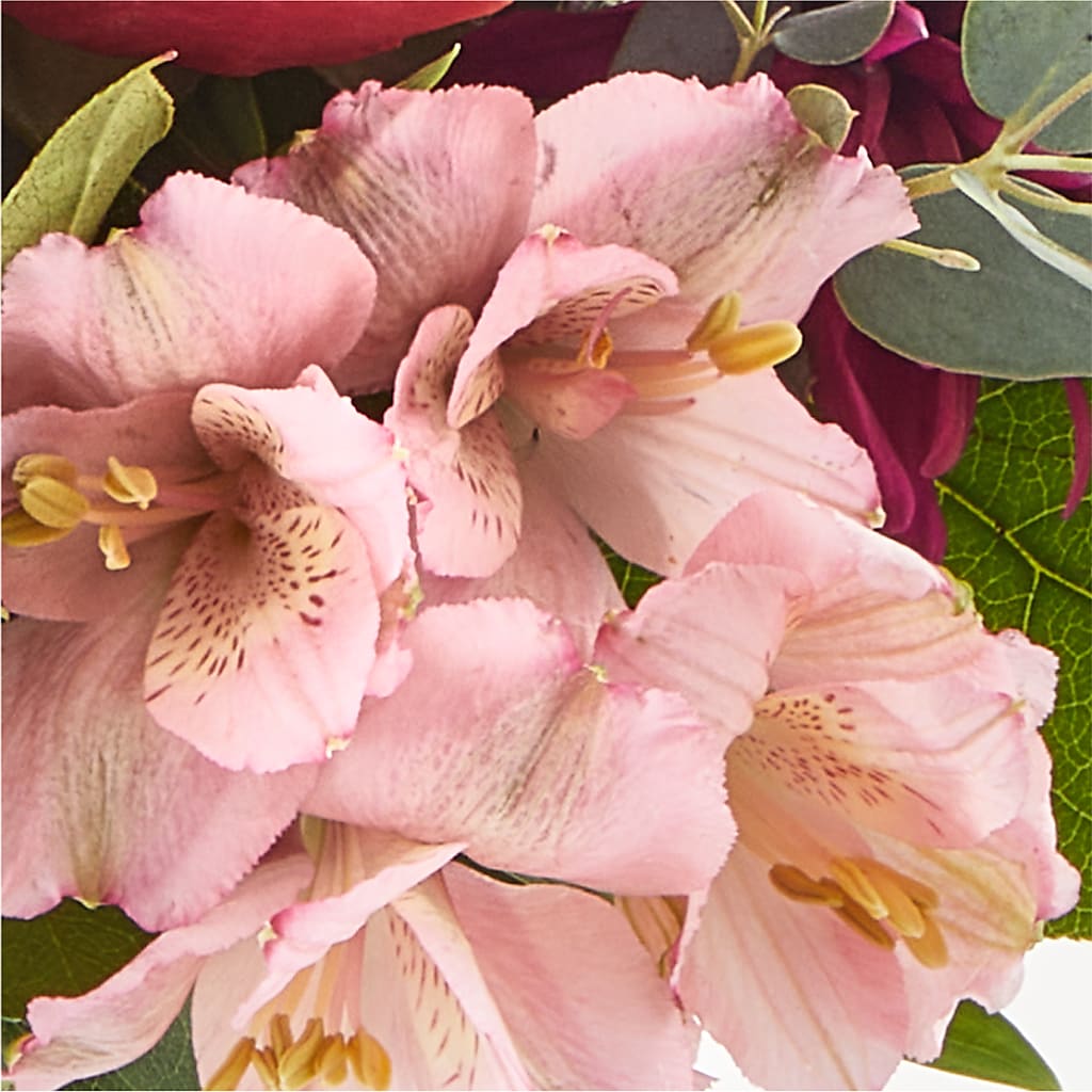 Berry Cobbler Bouquet –  Albertsons Floral #0199, Boise ID