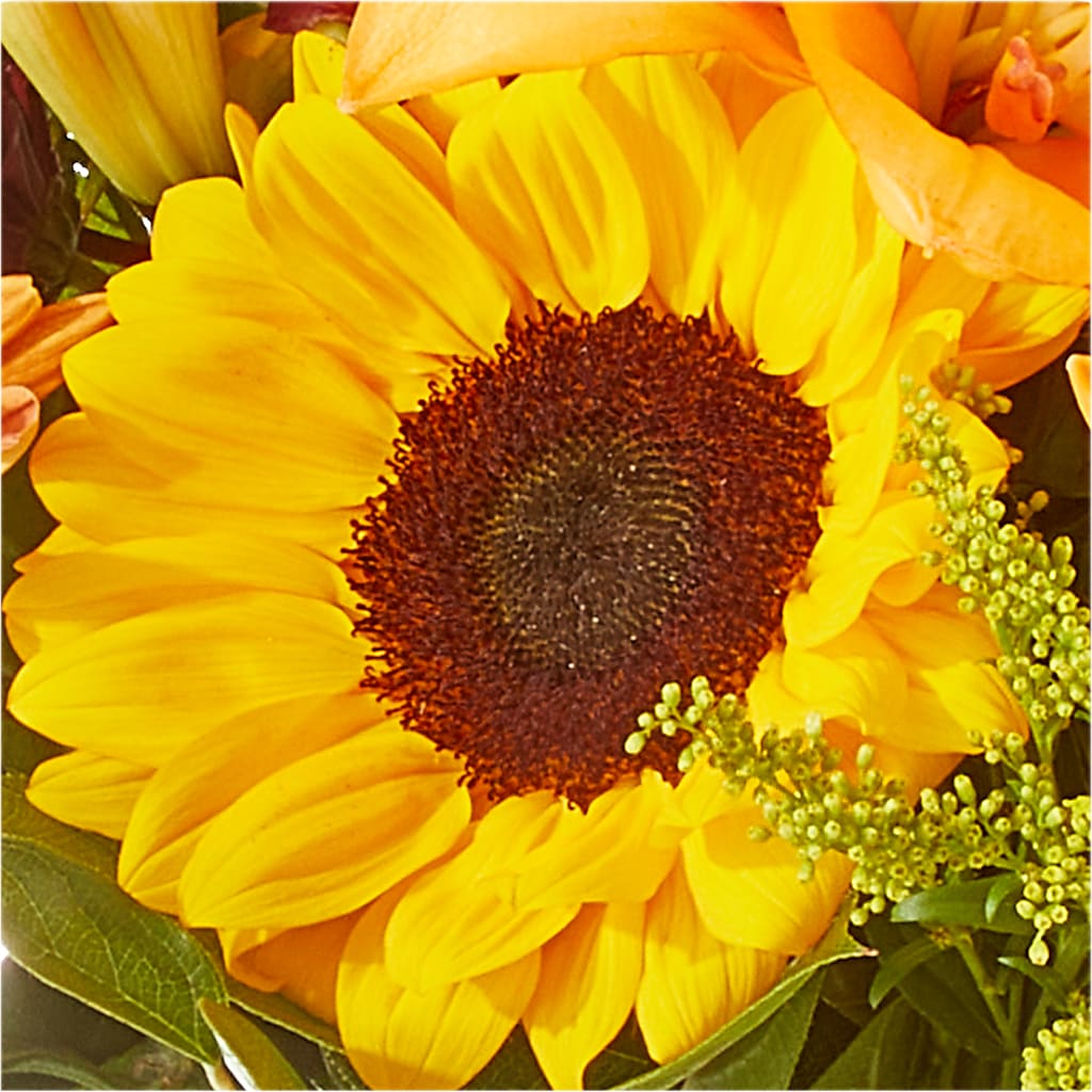 Seasons Change Bouquet –  Albertsons Floral #0199, Boise ID