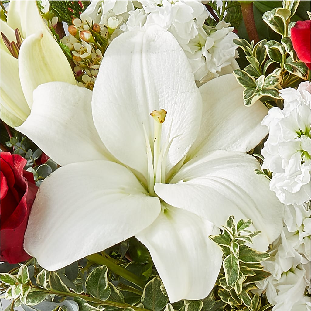 Twinkle Lights Bouquet –  Albertsons Floral #0199, Boise ID