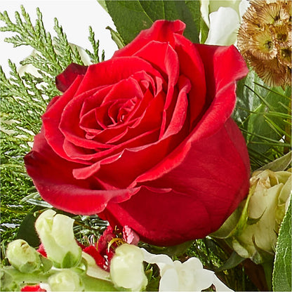 Deck the Halls Bouquet –  Albertsons Floral #0199, Boise ID